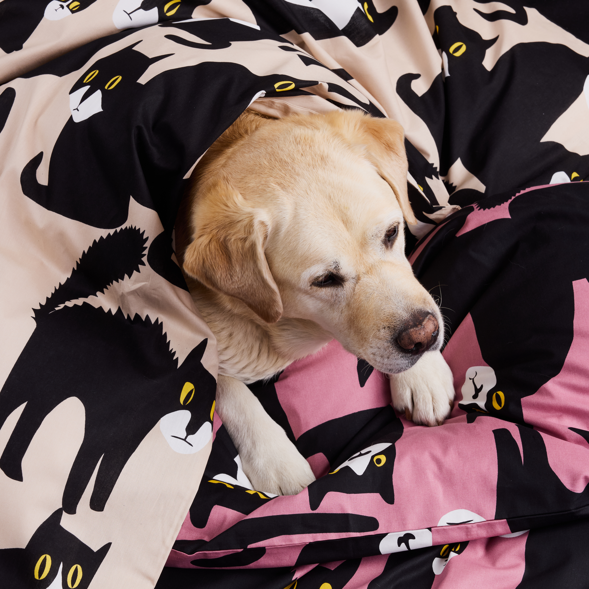 60652-5075-04-06; Finlayson Spot the Dog Duvet Cover set Sand / Black / 150x210 + 50x60 cm 