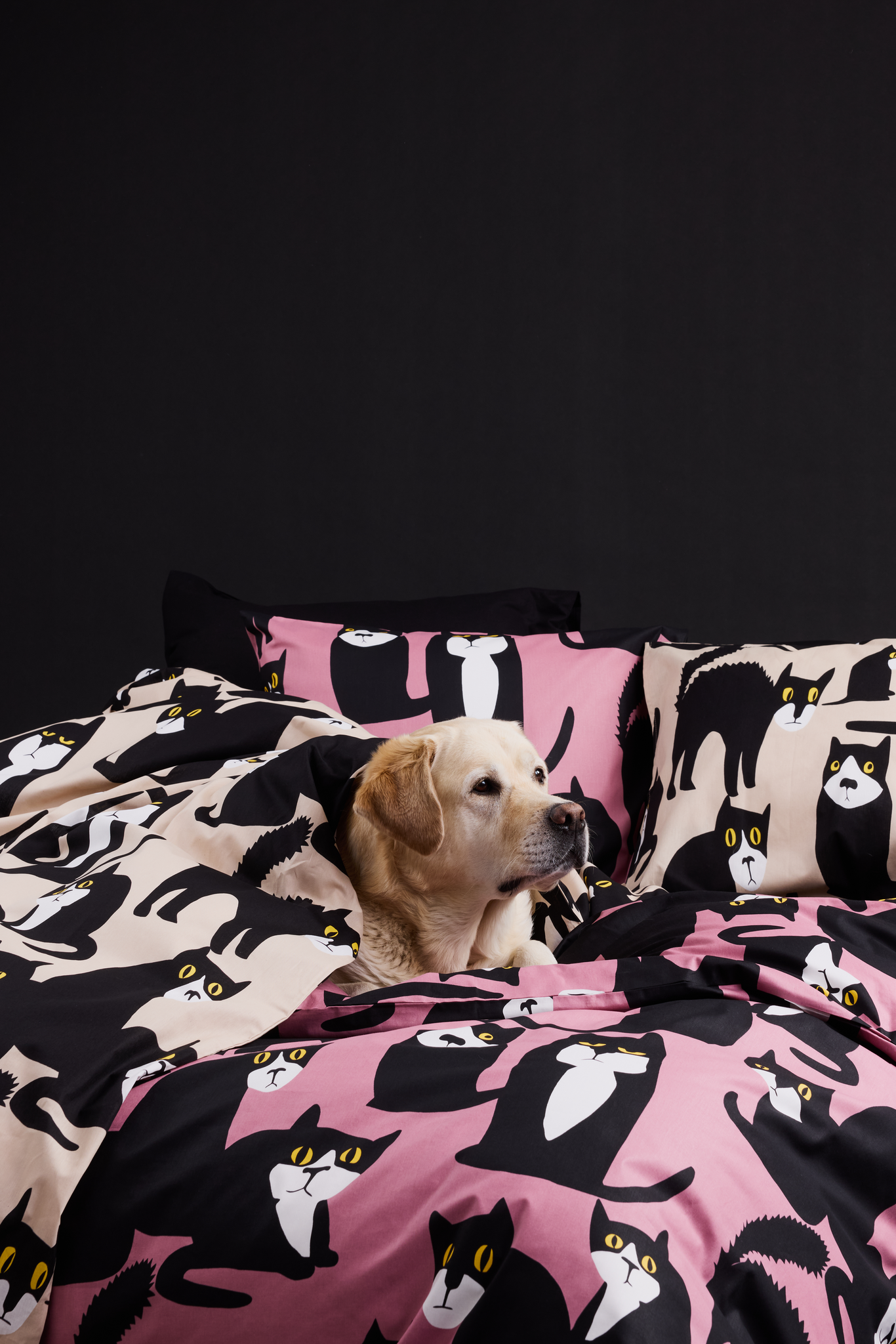 60652-5075-04-06_2; 60652-5075-03-06_2; Finlayson Spot the Dog Duvet Cover Set Mauve / Black / Yellow / 150x210 + 50x60 cm 