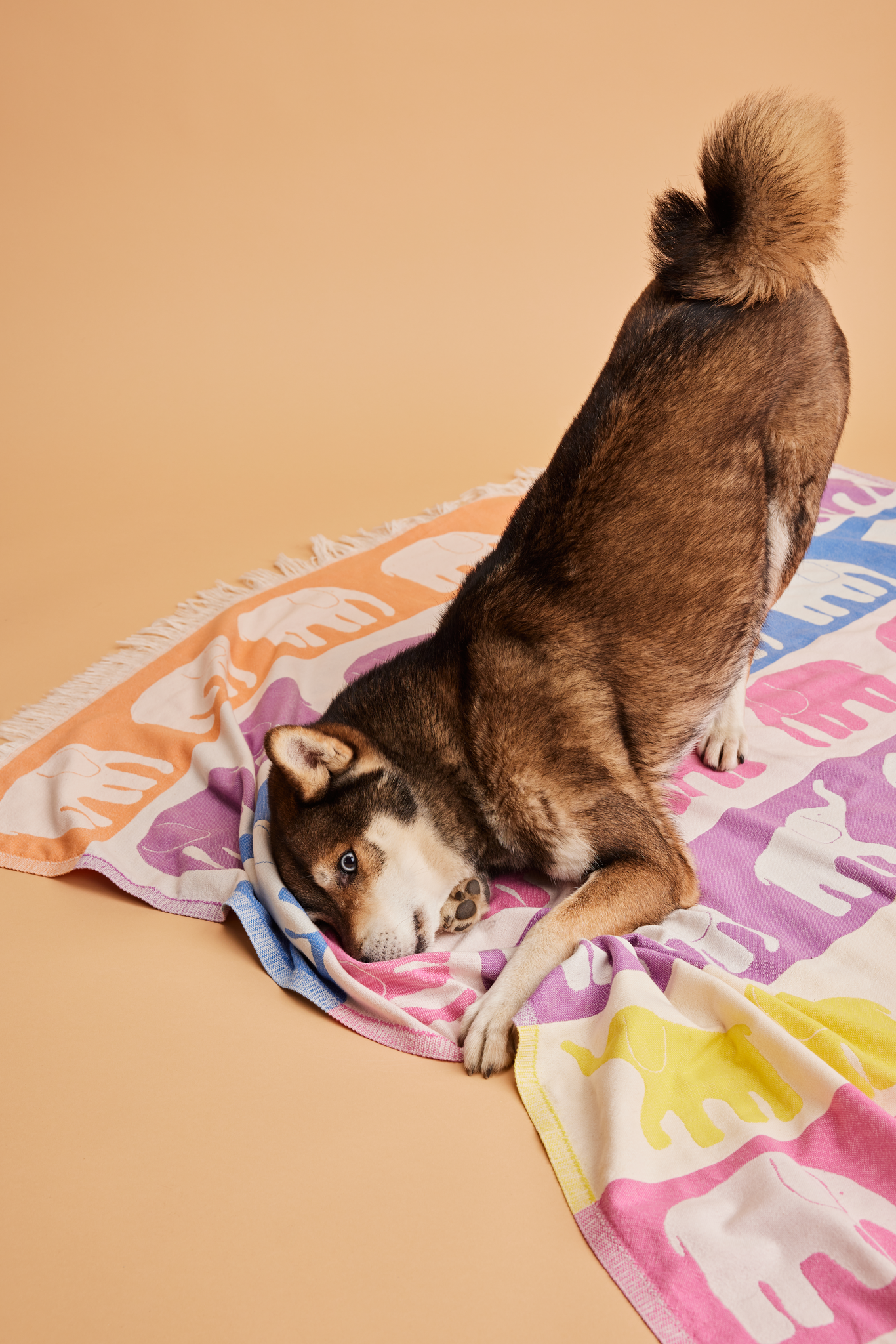 20900-5415-01-04_1; Finlayson Elefantti vapaa Throw blanket Multi /  
