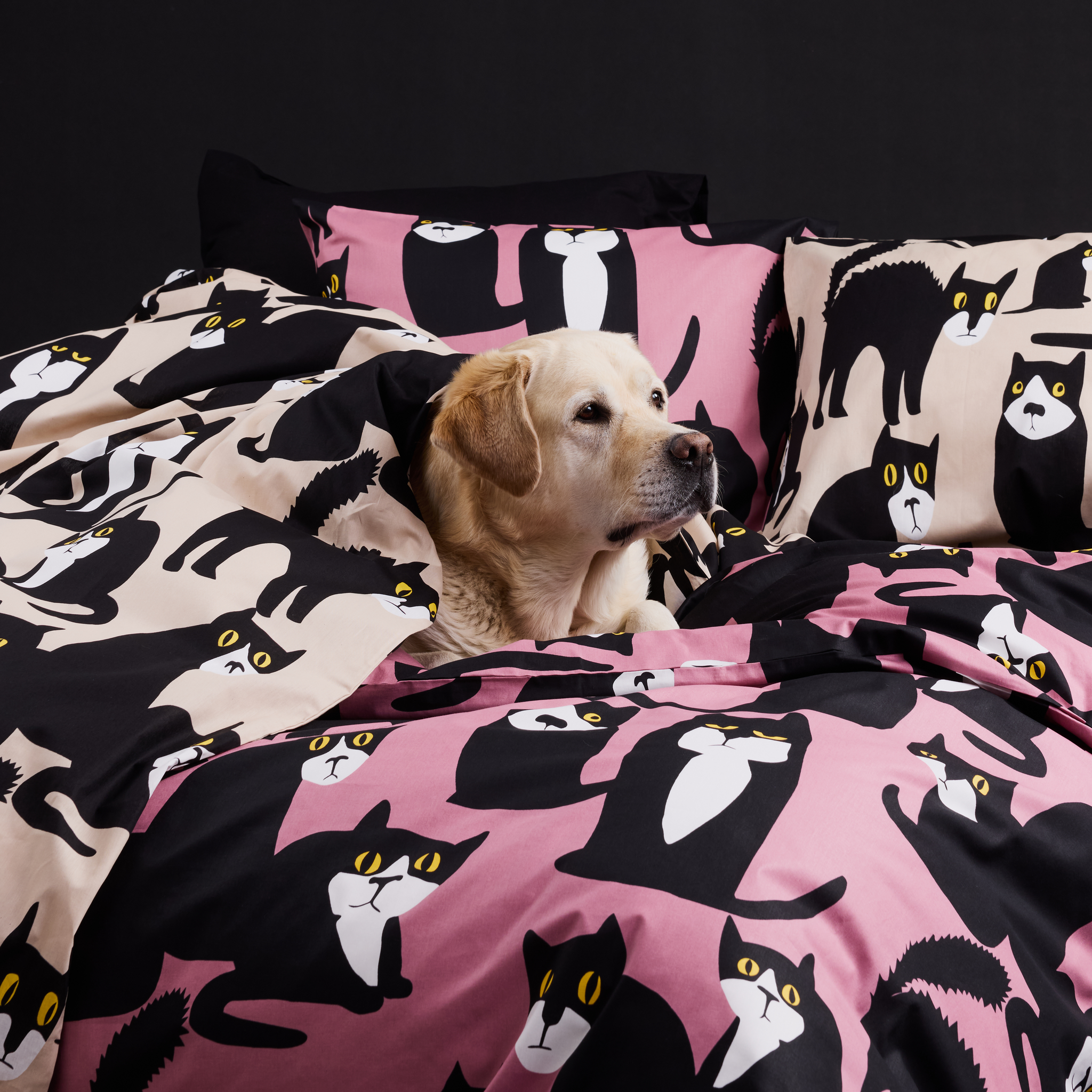 60652-5075-03-06; Finlayson Spot the Dog Duvet Cover Set Mauve / Black / Yellow / 150x210 + 50x60 cm 